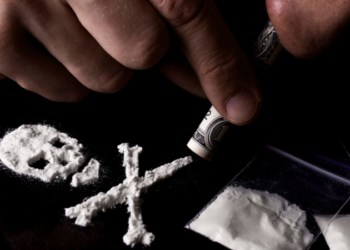 17 ಕೋಟಿ ರೂ. ಮೌಲ್ಯದ ಡ್ರಗ್ಸ್ ವಶಕ್ಕೆ