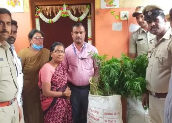 ಮನೆಯ ಮುಂದೆ ಗಾಂಜಾ ಬೆಳೆದ ಮಹಿಳೆ