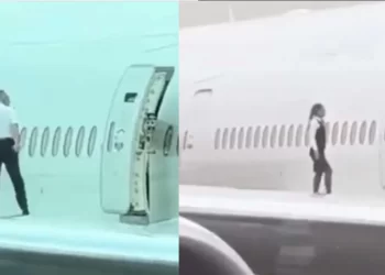 ವಿಮಾನದ ರೆಕ್ಕೆಗಳ ಮೇಲೆ ಸ್ಟಂಟ್