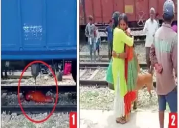 ಚಲಿಸುವ ರೈಲಿನಡಿ ಮಲಗಿ ಸಾವು ಗೆದ್ದ ಮಹಿಳೆ!