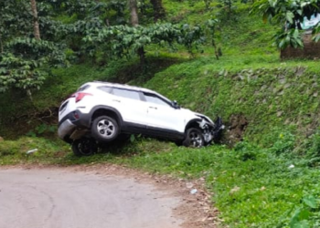 ಜಿಂಕೆ ತಪ್ಪಿಸಲು ಹೋಗಿ ಗುಂಡಿಗೆ ಬಿದ್ದ ಕಾರು; ಮೂವರ ಸ್ಥಿತಿ ಗಂಭೀರ