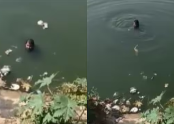 ಪೊಲೀಸರಿಂದ ತಪ್ಪಿಸಿಕೊಳ್ಳಲು ನದಿಗೆ ಹಾರಿದ ಆರೋಪಿ