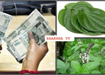 ಈ ಎರಡು ಎಲೆಗಳಿದ್ದರೆ ನಮಗೆ ಶಾಶ್ವತವಾಗಿ ಹಣ….!