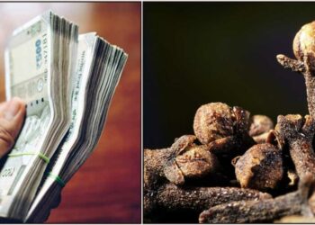 ಹಣದ ಹರಿವನ್ನು ಹೆಚ್ಚಿಸಲು ಯಾರಿಗೂ ಹೇಳದೆ ಏಳು ಲವಂಗವನ್ನು ಇರಿಸಿ ಮತ್ತು ಈ ರಹಸ್ಯ ಪರಿಹಾರವನ್ನು ಮಾಡಿ.