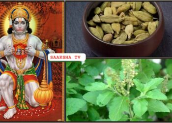 ಆಂಜನೇಯನಿಗೆ ಈ ರೀತಿ ಪೂಜೆ ಮಾಡಿದರೆ ಮೋಸ ಹೋದರೂ ಅವರೇ ಹುಡುಕಿಕೊಂಡು ಬಂದು ನಮ್ಮಿಂದ ಪಡೆದ ಹಣವನ್ನು ವಾಪಸ್ ಕೊಡುತ್ತಾರೆ.
