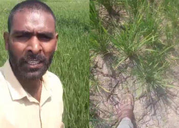 ಲೋಡ್ ಶೆಡ್ಡಿಂಗ್ ಗೆ ಕಂಗಾಲಾದ ರೈತ