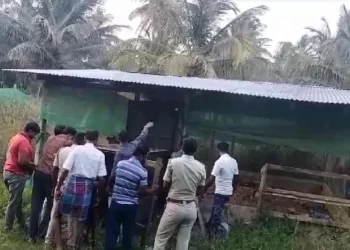 40ಕ್ಕೂ ಹೆಚ್ಚು ಕೋಳಿ ಬಲಿ ಪಡೆದ ಚಿರತೆ