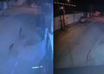 ಬೆಂಗಳೂರಿನಲ್ಲಿ ಮತ್ತೆ ಆತಂಕ; ಚಿರತೆ ಪ್ರತ್ಯಕ್ಷ