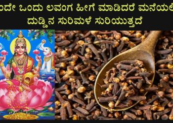 ಮನೆಯಲ್ಲಿ ಹಣದ ಹರಿವು ಹೆಚ್ಚಾಗಬೇಕೆಂದರೆ ಏನು ಮಾಡಬೇಕು ಎಂದು ತಿಳಿದಿದೆಯೇ ನಿಮಗೆ ?
