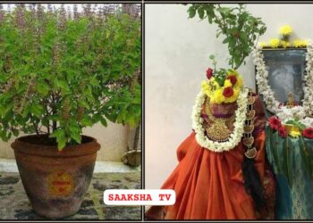 ತುಳಸಿ ಕಲ್ಯಾಣಂ ಆಚರಣೆ.ಸಂಪತ್ತು ಮತ್ತು ಸಮೃದ್ಧಿ ಮೇಲುಗೈ ಸಾಧಿಸುತ್ತದೆ. ತೆಗೆದುಕೊಂಡ ಕಾರ್ಯಗಳು ಯಶಸ್ವಿಯಾಗುತ್ತವೆ.