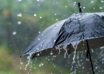 ತಮಿಳುನಾಡಿನಲ್ಲಿ ಭರ್ಜರಿ ಮಳೆ; ಹಲವು ಜಿಲ್ಲೆಯ ಶಾಲಾ- ಕಾಲೇಜುಗಳಿಗೆ ರಜೆ