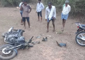 ರೈತರನ್ನು ಬೆನ್ನಟ್ಟಿದ 30 ಕಾಡಾನೆಗಳ ಹಿಂಡು!