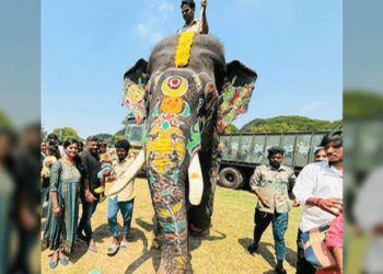 ಕಾಡನೆ ದಾಳಿಗೆ ಕ್ಯಾಪ್ಟನ್ ಅರ್ಜುನ ವೀರಮರಣ!