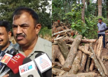 12 ಎಕರೆ ಪ್ರದೇಶದಲ್ಲಿ ಬೆಳೆದಿದ್ದ ಮರಗಳು ನಾಶ