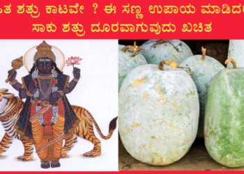 ಶತ್ರು ನಾಶವಾಗಲು ಮನೆಯಲ್ಲಿಯೇ ಈ ಸಣ್ಣ ಕೆಲಸ ಮಾಡಿ