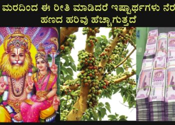 ಅತ್ತಿ ಮರದ ಹಣ್ಣಿನಿಂದ ಯಾವ ರೀತಿ ಧನ ಸಂಪತ್ತನ್ನು ವೃದ್ಧಿಸಿಕೊಳ್ಳಬಹುದು ಗೊತ್ತೇ ?