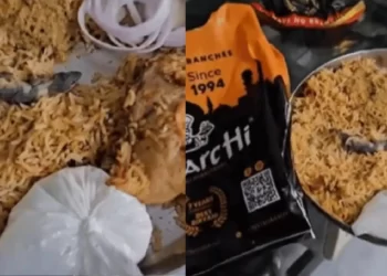 ಆರ್ಡರ್ ಮಾಡಿದ್ದ ಬಿರಿಯಾನಿಯಲ್ಲಿ ಸತ್ತ ಹಲ್ಲಿ ಪತ್ತೆ