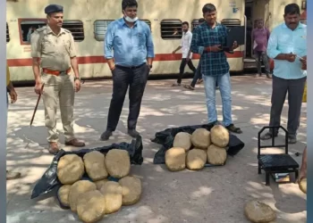 ರೈಲಿನಲ್ಲಿ ಸಾಗಾಟವಾಗುತ್ತಿದ್ದ 60 ಕೆಜಿ ಗಾಂಜಾ