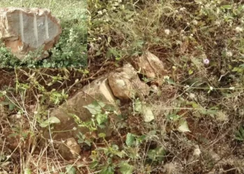 ರಾಮಲಲ್ಲನ ಮೂರ್ತಿಗೆ ಕಲ್ಲು ಕರ್ನಾಟಕದಲ್ಲಿ ಸಿಕ್ಕಿದ್ದೇ ರೋಚಕ!!