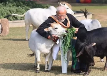 ಕನ್ನಡದಲ್ಲಿಯೇ ಸಂಕ್ರಾಂತಿ ಶುಭಾಶಯ ತಿಳಿಸಿದ ಪ್ರಧಾನಿ!