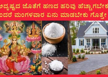 ಮಂಗಳವಾರದಂದು ಉಪ್ಪಿನಿಂದ ಈ ಉಪಾಯ ಮಾಡಿದರೆ ಮನೆಯ ಸದಸ್ಯರೆಲ್ಲರಿಗೂ ಅದೃಷ್ಟ ಯೋಗ ಬರುವುದು ಖಚಿತ