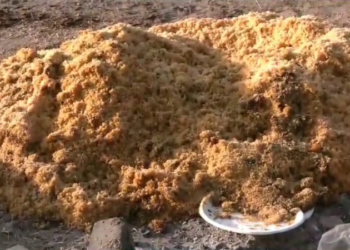 ರಸ್ತೆಗೆ ಬಿದ್ದ ಲಕ್ಷಾಂತರ ಜನರು ಊಟ ಮಾಡುವ ಚಿಕನ್ ಬಿರಿಯಾನಿ!