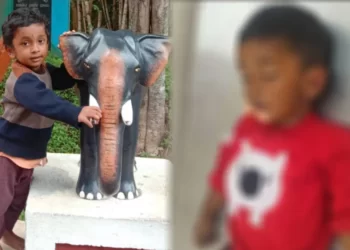 ಲಕ್ಷ್ಮಣರೇಖೆ ಔಷಧಿ ಸೇವಿಸಿ ಮಗುವಿನೊಂದಿಗೆ ಆತ್ಮಹತ್ಯೆಗೆ ಯತ್ನಿಸಿದ ತಾಯಿ