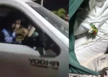 ಅಕ್ರಮವಾಗಿ ಪಡಿತರ ಅಕ್ಕಿ ಸಾಗಾಟ; ವಶಕ್ಕೆ