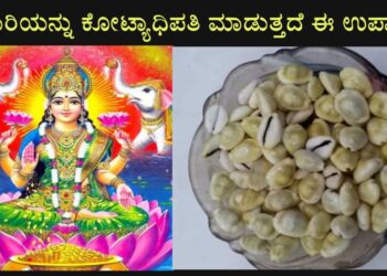 7 ಜನ್ಮದ ಭಿಕಾರಿ ಕೂಡ ಈ ಉಪಾಯದಿಂದ ರಾಜನ ರೀತಿ ಶ್ರೀಮಂತನಾಗುತ್ತಾನೆ