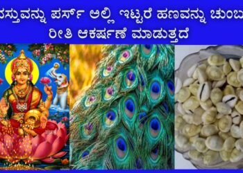 ಪರ್ಸ್ ಅಲ್ಲಿ ಯಾವ ವಸ್ತುಗಳನ್ನು ಇಟ್ಟರೆ ನೀವು ಶ್ರೀಮಂತರಾಗುವುದನ್ನು ಯಾರಿಂದಲೂ ತಡೆಯಲು ಸಾಧ್ಯವಿಲ್ಲ ?