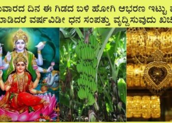 ಗುರುವಾರದ ದಿನ ಈ ಗಿಡದ ಹತ್ತಿರ ಹೋಗಿ ಪ್ರಾರ್ಥನೆ ಮಾಡಿದರೆ ವರ್ಷವಿಡಿ ಬಂಗಾರದ ಸುರಿಮಳೆ ಆಗುವುದು ಖಚಿತ.