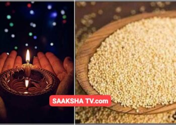 ಹಣ ಸಂಗ್ರಹಿಸಲು ಗಸಗಸೆ ಪರಿಹಾರ. ಮನೆಯಲ್ಲಿ ಈ ದೀಪವನ್ನು ಮಾತ್ರ ಹಚ್ಚಿದರೆ ನೀವು ಕೋಟ್ಯಾಧಿಪತಿಯಾಗುವುದನ್ನು ತಡೆಯಲು ಯಾರಿಂದಲೂ ಸಾಧ್ಯವಿಲ್ಲ.