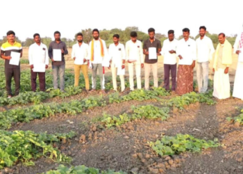 ಗ್ರಾಪಂ ಸದಸ್ಯನಿಂದ 120 ಎಕರೆ ಕೆರೆ ಭೂಮಿ ಗುಳಂ!