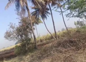 ವಿವಸ್ತ್ರಗೊಳಿಸಿ ಮಹಿಯ ಮೇಲೆ ಹಲ್ಲೆ?