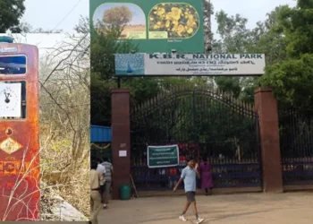 ನಿಜಾಮರ ಕಾಲದಲ್ಲಿ ಬಳಕೆಯಾಗುತ್ತಿದ್ದ ಪೆಟ್ರೋಲ್ ಪಂಪ್ ಪತ್ತೆ!