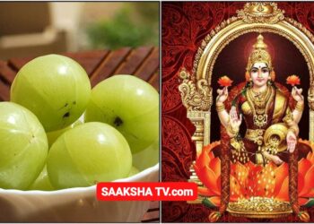 ನಿಮ್ಮ ಮನೆಗೆ ಬಾರದ ಸಂಪತ್ತು ಬರಲು ಕೇವಲ 1 ನೆಲ್ಲಿಕಾಯಿ ಮತ್ತು ಈ 1 ಸಾಲಿನ ಮಂತ್ರ ಸಾಕು.