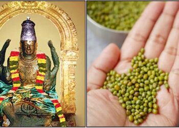 ಹಸಿರು ಬೆಳೆಯನ್ನು ಕೈಯಲ್ಲಿಟ್ಟುಕೊಂಡು ಬುಧವಾರ ಈ ಒಂದು ಮಂತ್ರ ಹೇಳಿದರೆ ಸಾಕು. ಹಣದ ಅಡೆತಡೆಗಳು ದೂರವಾಗಿ ಆದಾಯ ಹೆಚ್ಚಾಗುವುದರಿಂದ ಮಕ್ಕಳು ಶೈಕ್ಷಣಿಕವಾಗಿ ಮೇಲುಗೈ ಸಾಧಿಸುತ್ತಾರೆ.