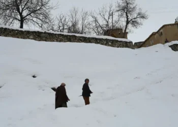 ಭಾರೀ ಹಿಮಪಾತ; 15 ಜನ ಬಲಿ, 30 ಜನರ ಸ್ಥಿತಿ ಗಂಭೀರ!