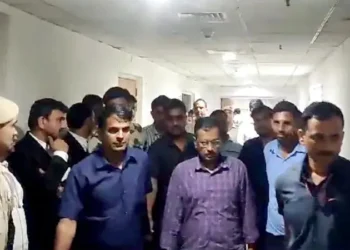 ಕೇಜ್ರಿವಾಲ್ ರನ್ನು ಜೈಲಿನಲ್ಲಿ ಬಿಜೆಪಿ ಹತ್ಯೆ ಮಾಡುವ ಸಂಚು ರೂಪಿಸಿದೆ; ಸಚಿವೆ ಆರೋಪ