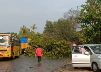 ಶಿವಮೊಗ್ಗ ಜಿಲ್ಲೆಯಲ್ಲಿ ಭಾರೀ ಮಳೆ ಸಿಡಿಲಿಗೆ 18 ಕುರಿ ಬಲಿ