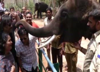 ನನ್ನ ಸ್ಪರ್ಧೆಯಿಂದ ಬಿಜೆಪಿಗೆ ಭಯ ಶುರುವಾಗಿದೆ; ಗೀತಾ ಶಿವರಾಜ್ ಕುಮಾರ್