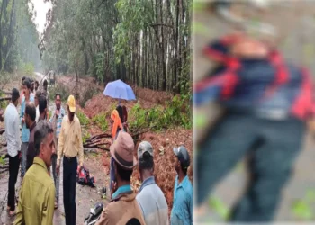 ಮರ ಬಿದ್ದು ವ್ಯಕ್ತಿ ಸಾವು; ಹಲವೆಡೆ ಭಾರೀ ಮಳೆ