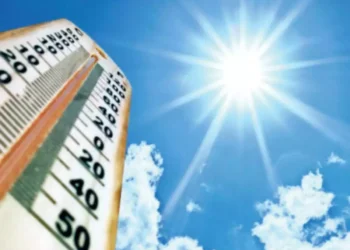 ಬಿಸಿಲಿನ ಬೇಗೆಗೆ ಹೊತ್ತಿ ಉರಿದ ಕಾರುಗಳು!