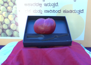 ಒಂದೇ ಒಂದು ಮಾವಿನ ಬೆಲೆ ಎಷ್ಟು ಗೊತ್ತಾ?
