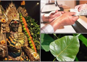 ಕೊಟ್ಟ ಹಣವನ್ನು ಹಿಂತಿರುಗಿಸದೆ ಹಣ ದೋಚುವವರಿಂದ ಹಣ ಪಡೆಯಲು ಈ ಎಲೆಯನ್ನು ಕಟ್ಟಿದರೆ ಬೇಗ ಹಣ ನಿಮ್ಮ ಕೈ ಸೇರುತ್ತದೆ.