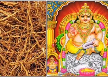 ಪೂಜಾ ಕೋಣೆಯಲ್ಲಿ ಈ 1 ಬೇರನ್ನು ಮಹಿಳೆಯರ ಕೈಯಿಂದ ತಂದರೆ ಸಾಕು. ಕುಬೇರನ ಕೃಪೆ ನಿಮ್ಮ ಮನೆಯಲ್ಲಿ ನೆಲೆಯೂರುತ್ತದೆ.