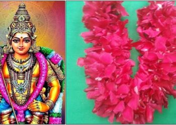 9 ಮಂಗಳವಾರ ಹೀಗೆ ಮುರುಗನ ಪ್ರದಕ್ಷಿಣೆ ಬಂದರೆ ಮುರುಗನ್ ಖಂಡಿತ ನಿಮ್ಮ ಇಷ್ಟಾರ್ಥವನ್ನು ಈಡೇರಿಸುತ್ತಾನೆ.