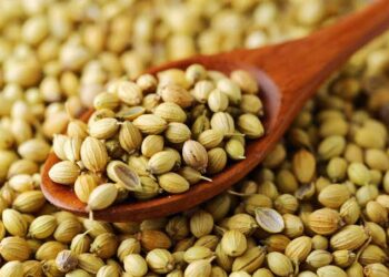 ಕರ್ಪೂರ, ಈ ಕಾಳುಗಳಿದ್ದರೆ ಎಷ್ಟೇ ಹಣ ಕೊಟ್ಟರೂ ಆ ಹಣ ನಮಗೆ ಬೇಗ ಬರುತ್ತದೆ