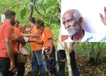 ಕಾಡಿನಲ್ಲಿ ನಾಪತ್ತೆಯಾಗಿದ್ದ ವೃದ್ಧ ಪತ್ತೆ; ನೀರಿನಿಂದಲೇ ಬದುಕುಳಿದ ವ್ಯಕ್ತಿ