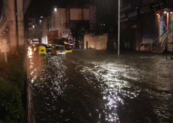 ಬೆಂಗಳೂರಲ್ಲಿ ಉರುಳಿ ಬಿದ್ದ ಮರಗಳು ಎಷ್ಟು ಗೊತ್ತಾ?